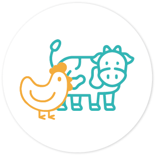 Meat, Poultry and Seafood 