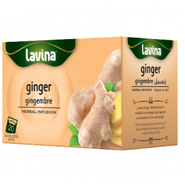 Pure Ginger  Herbal Infusion Lavina 1 x 40g